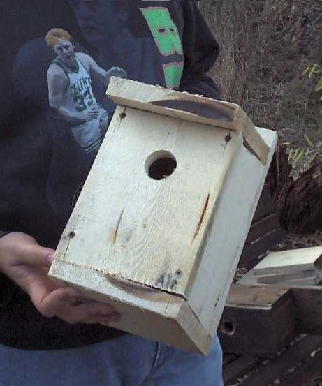 Progetti pratici di educazione ambientale